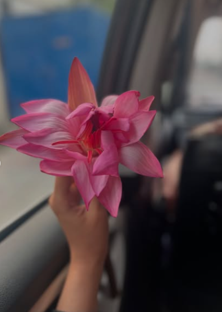 ಗುಡ್ ಮಾರ್ನಿಂಗ್