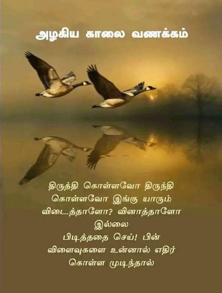 உங்களின் நாள் இனிதாக அமையட்டும்!