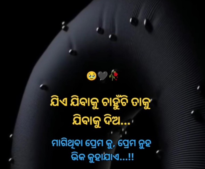 ଯିବାକୁ ଦିଅ