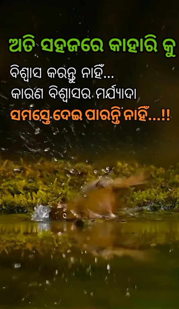 ଅତି ସହଜରେ କାହାରିକୁ ବିଶ୍ୱାସ କର ନାହିଁ