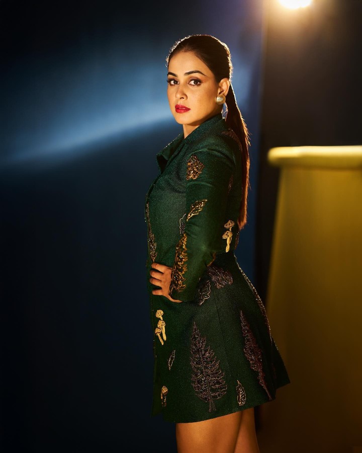 જ્યાં નજર અટકે, તે જ છે આ લૂકનો જાદુ!'