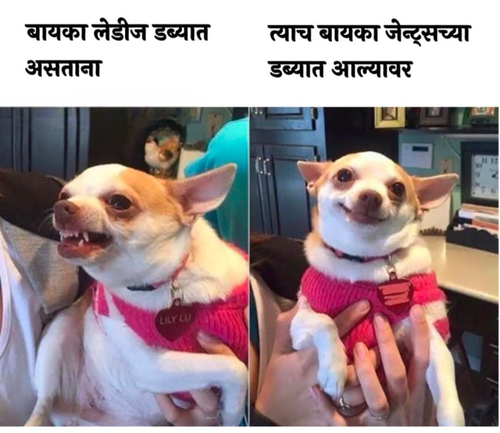 बायका लेडीज डब्यात