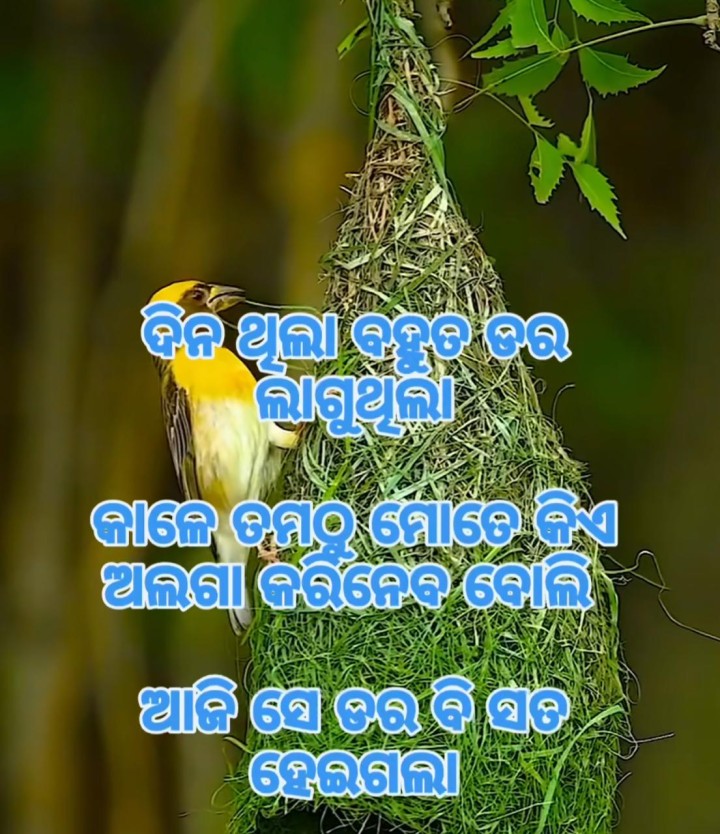 ଦିନ ଥିଲା