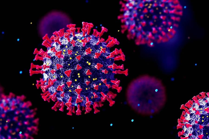 চিনে কি ফের নতুন কোনও ভাইরাস হানা দিয়েছে? সমাজমাধ্যমে ছড়িয়ে পড়া একাধিক ভিডিয়োয় দেখা যাচ্ছে, চিনের বিভিন্ন হাসপাতালে রোগীর থিকথিকে ভিড়। ওই ভিডিয়োগুলিতে দাবি করা হচ্ছে যে, রোগীদের প্রায় প্রত্যেকেই এইচএমপিভি-তে আক্রান্ত।