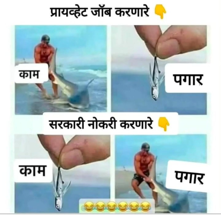 गव्हर्मेंट आणि प्रायव्हेट जॉब