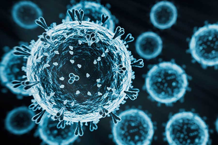 এইচএমপিভি প্রথম শনাক্ত হয় ২০০১ সালে। বিশ্বে এই ভাইরাস বহু বছর ধরেই ছড়িয়ে রয়েছে। শীতে ও বসন্তের শুরুতে এই ভাইরাসের সংক্রমণের প্রবণতা বেশি দেখা যায়। এ কথা জানান কেন্দ্রীয় স্বাস্থ্যমন্ত্রী।