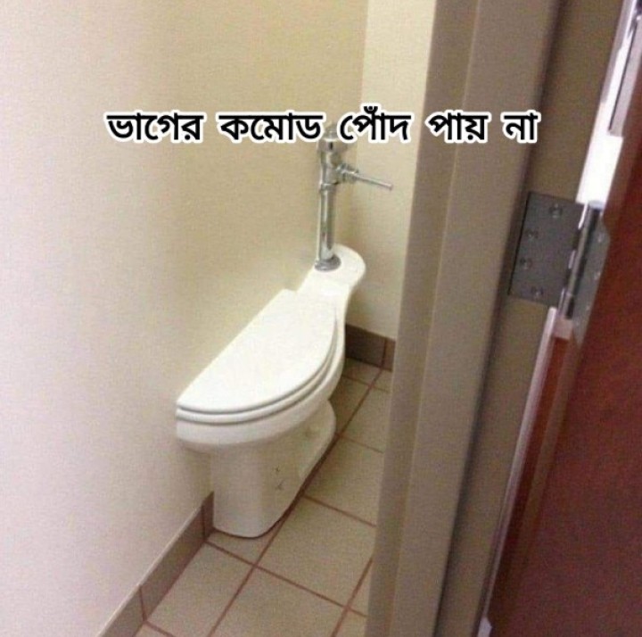 ভাগের কমোড!