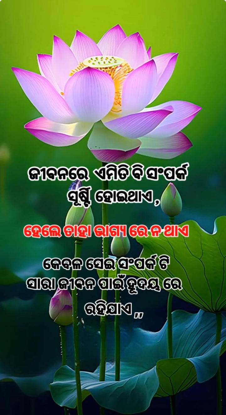 ଜୀବନରେ  ଏମିତି ଏକ ସମ୍ପର୍କ ସୃଷ୍ଟି ହେଇ ଯାଏ