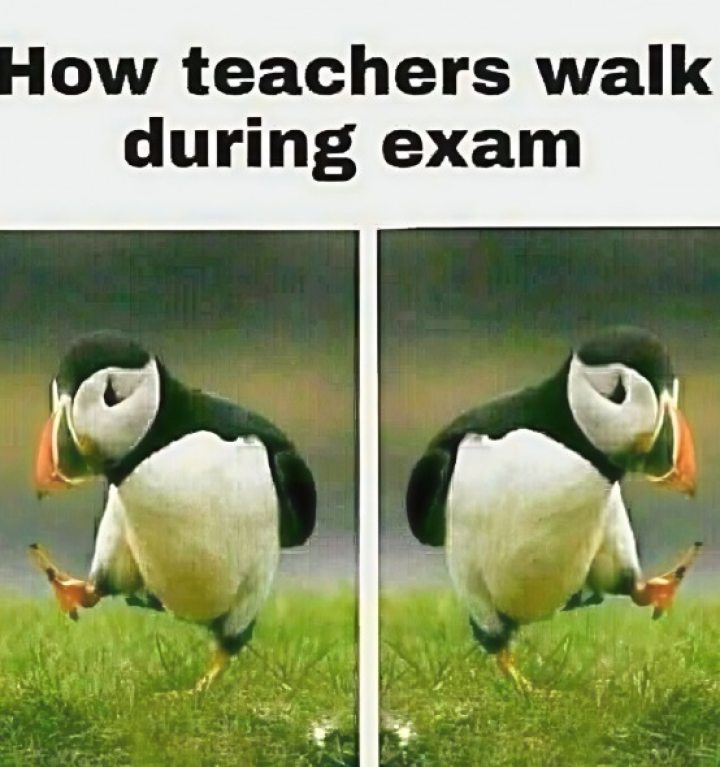 সত্যি তাই?