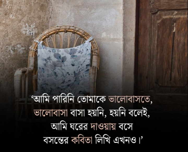 পারিনি তোমাকে ভালবাসতে...