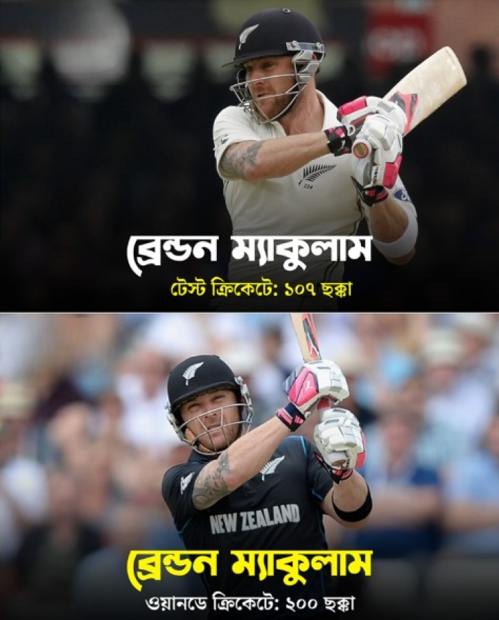 ম্যাকলাম...