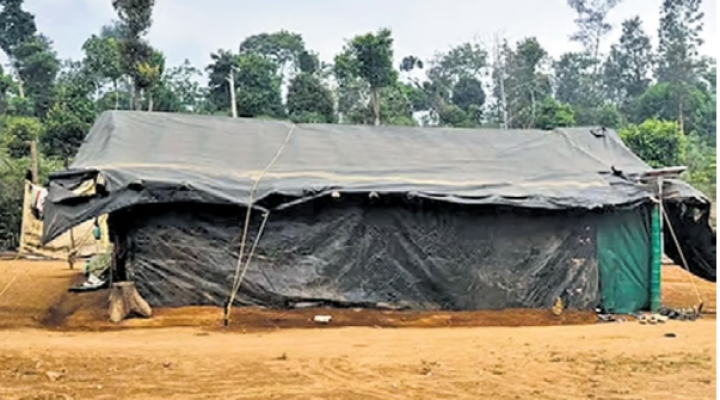 ಬುಡಕಟ್ಟು ಜನರ ಸ್ಥಳಾಂತರ: ಸಂದಿಗ್ಧತೆಯಲ್ಲಿ ಕರ್ನಾಟಕ ಅರಣ್ಯಾಧಿಕಾರಿಗಳು!