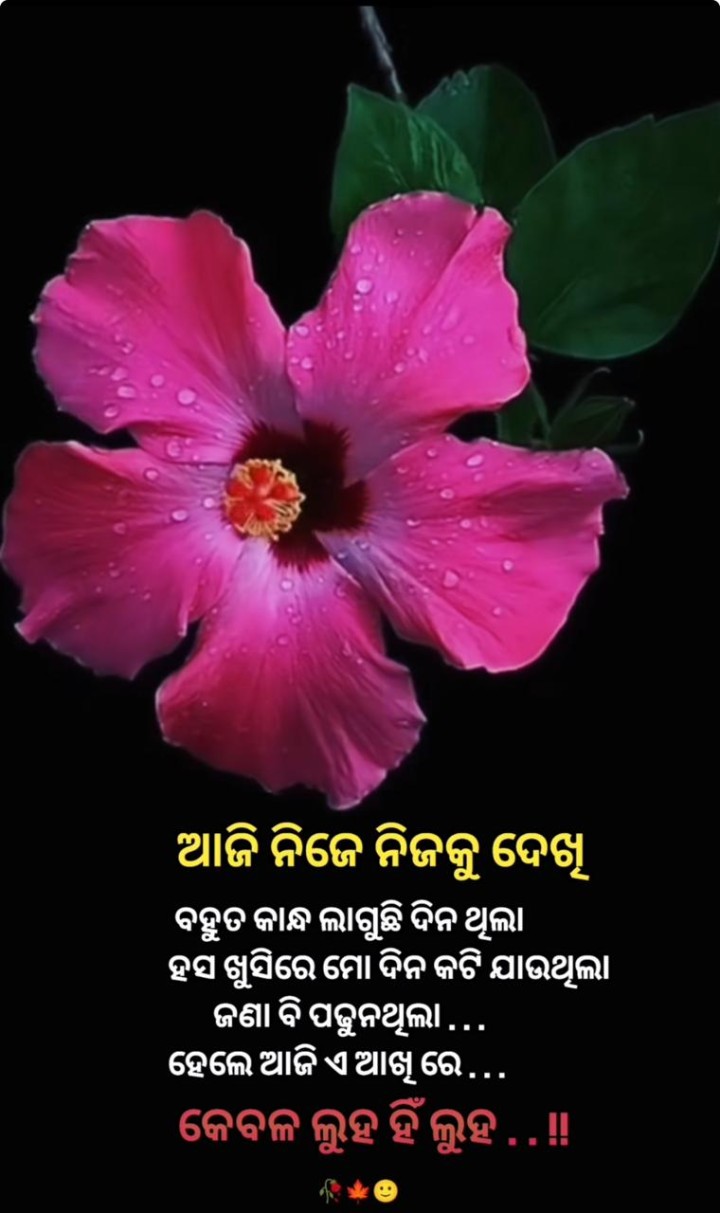 କେବଳ ଲୁହ ହିଁ ଲୁହ