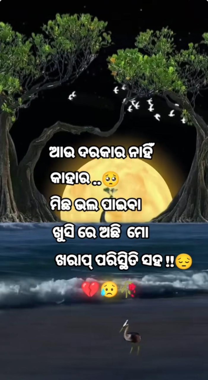 ଆଉ ଦରକାର ନାହିଁ କାହାର