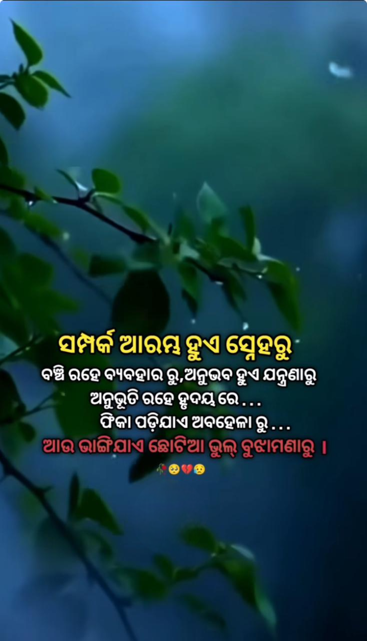 ସମ୍ପର୍କ ଆରମ୍ଭ ହୁଏ ସ୍ନେହ ରୁ