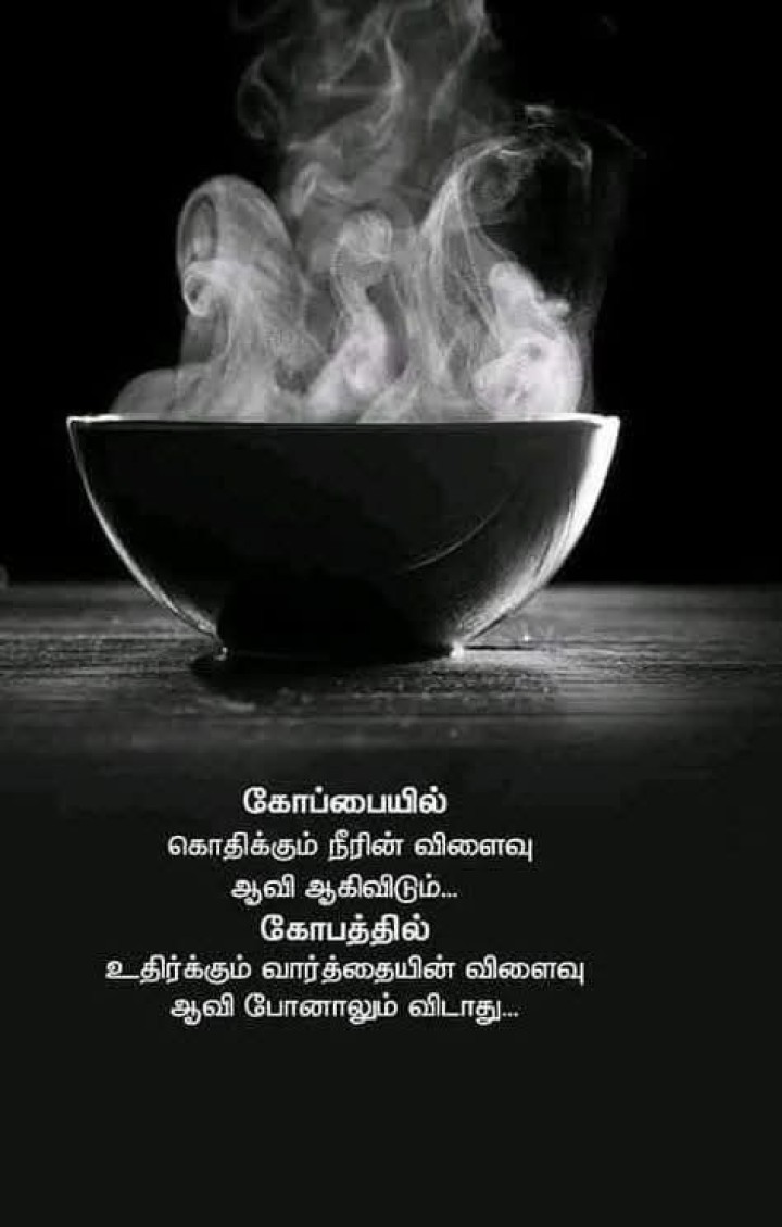 வார்த்தையின் விளைவு