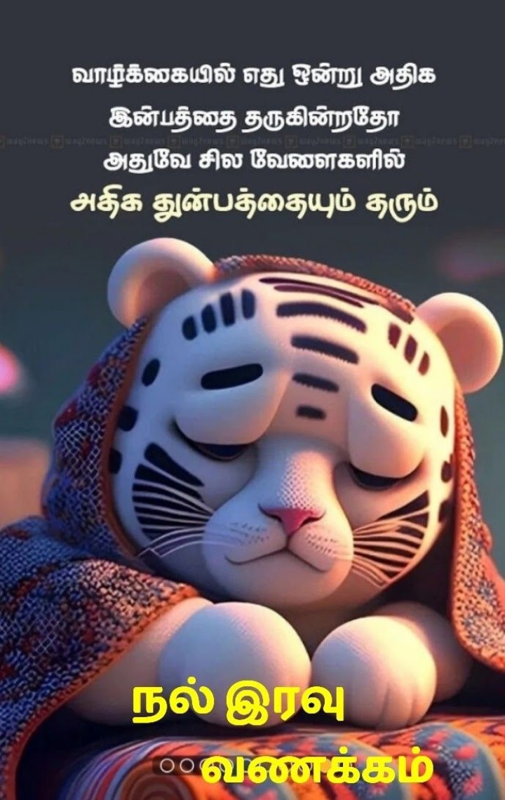 விழிகளை மூடி கவலைகளை மறந்து நிம்மதியாக உறங்கு..இனிய இரவு வணக்கம்.
