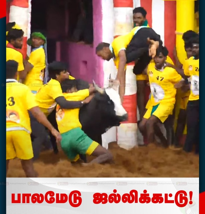 பாலமேடு ஜல்லிக்கட்டு- விறுவிறுப்பாக நடைபெற்று வரும் முதல் சுற்று!