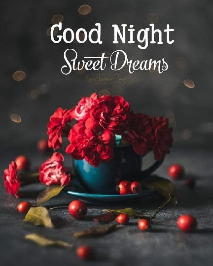 Good night