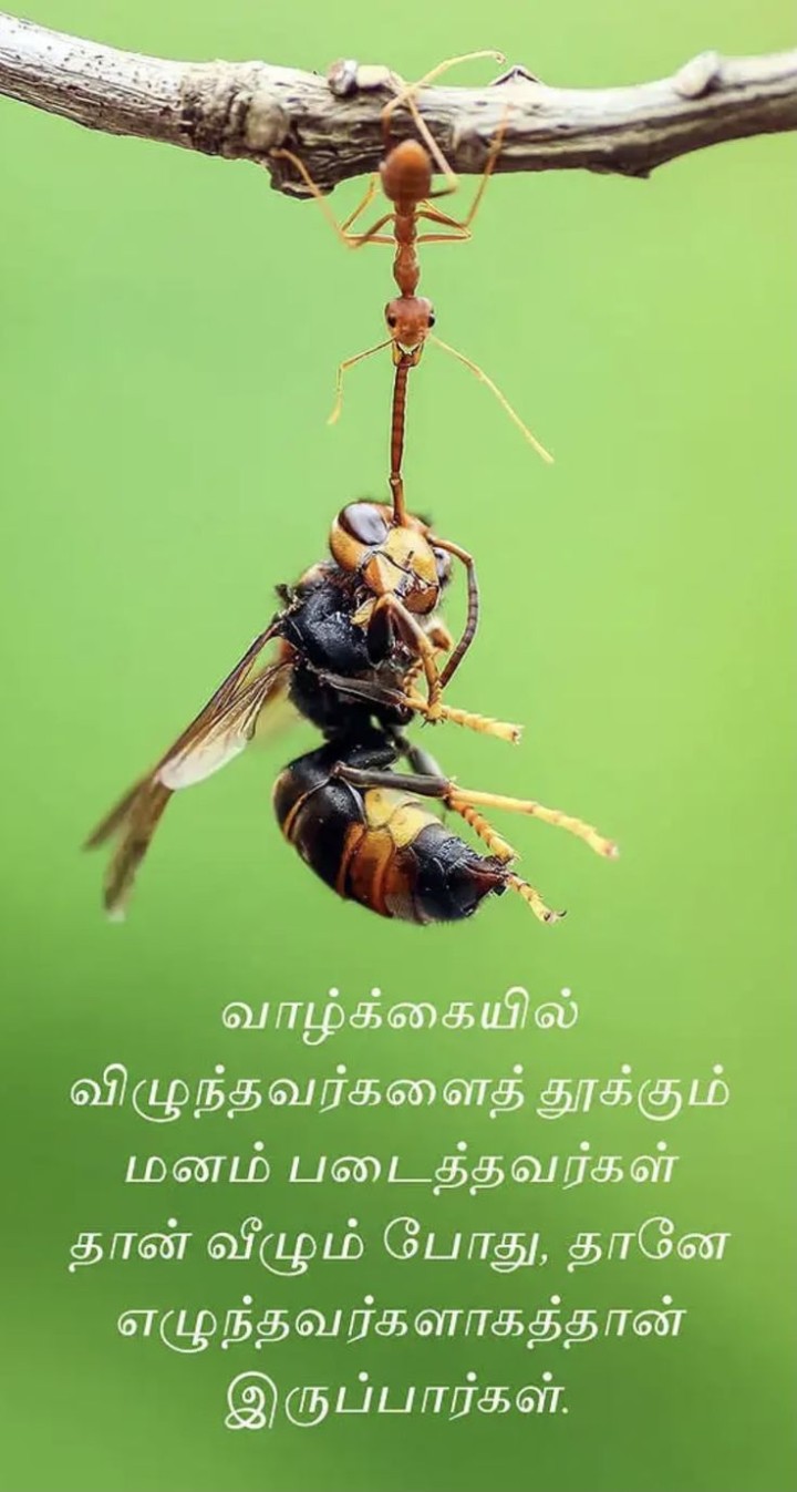 பெரிய மனசு