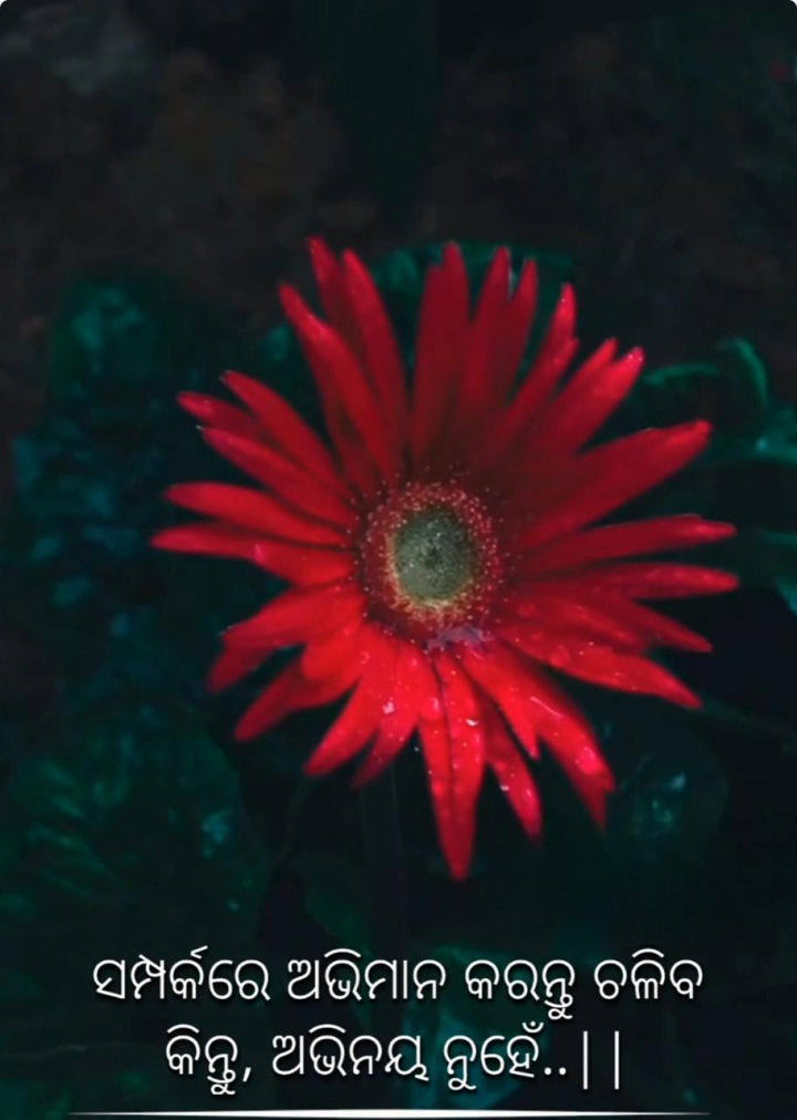 ଅଭିନୟ ନୁହେଁ