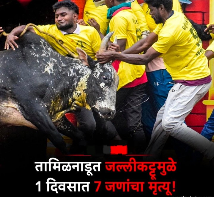 जल कट्टी मुळे एका दिवसात सात जणांचा मृत्यू
