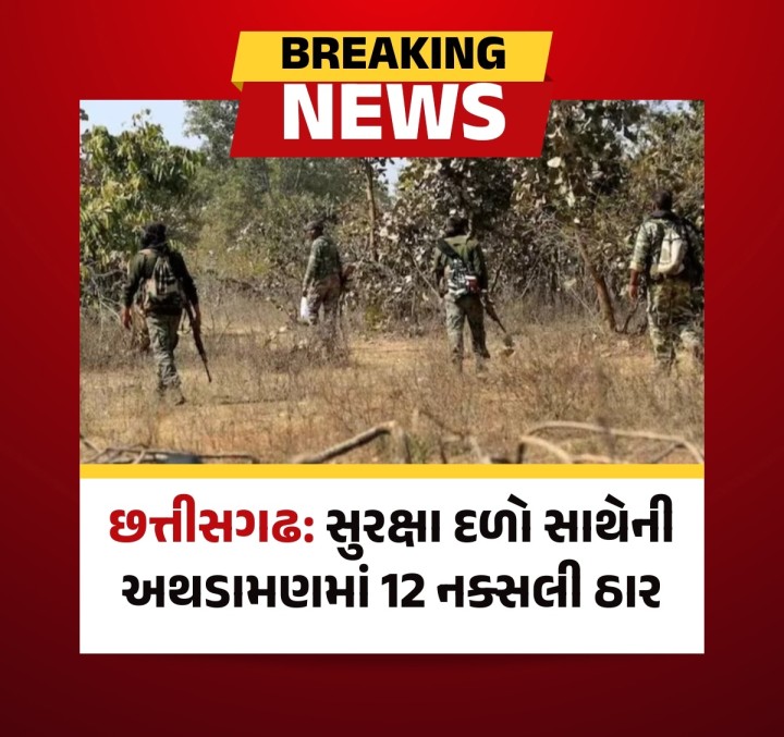 છત્તીસગઢના બીજાપુર જિલ્લામાં સુરક્ષા દળો સાથેની અથડામણમાં 12 નક્સલીઓ માર્યા ગયા હોવાનું પોલીસે જણાવ્યું છે. વધુ વિગતોની રાહ જોવાઈ રહી છે.