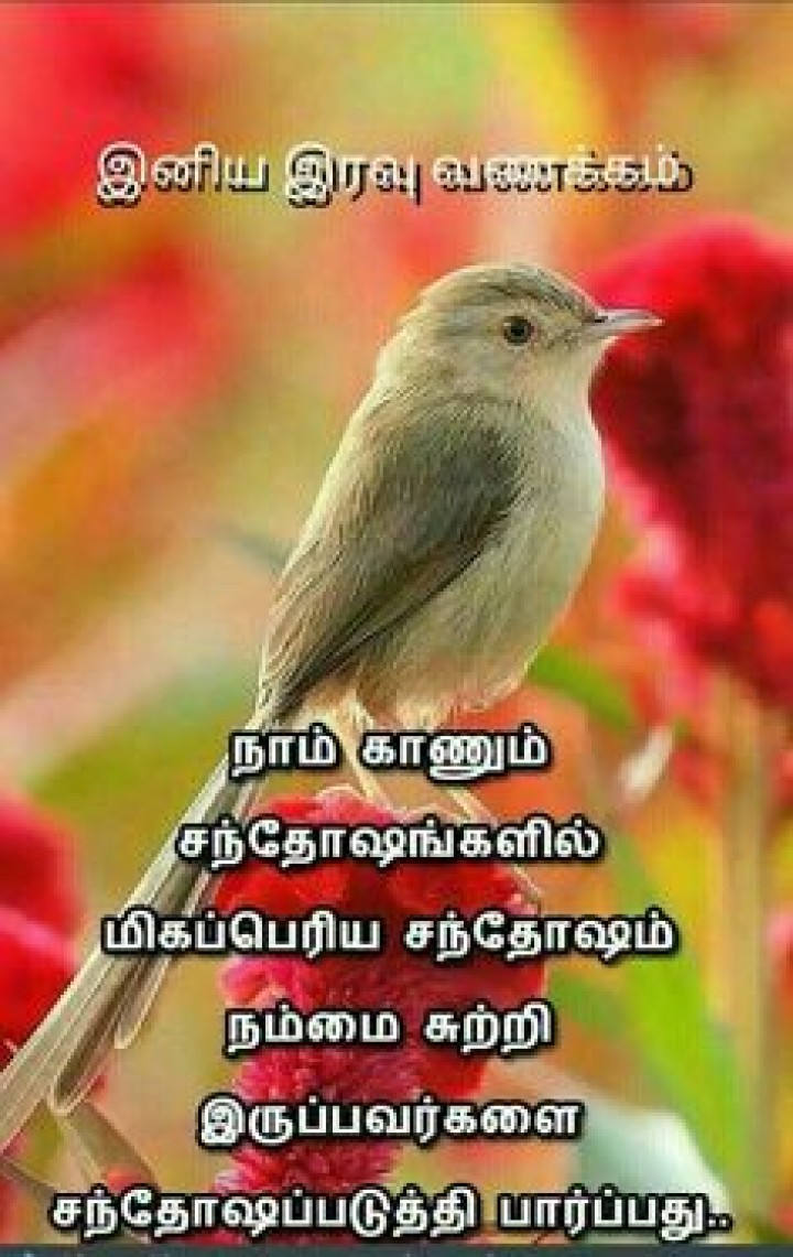 இனிய இரவு வாழ்த்துக்கள்