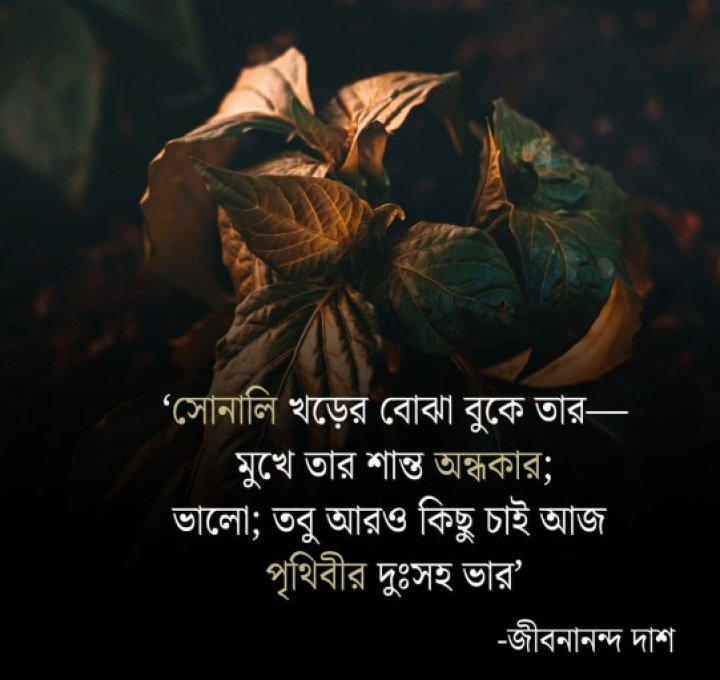 সোনালি খড়ের বোঝা।