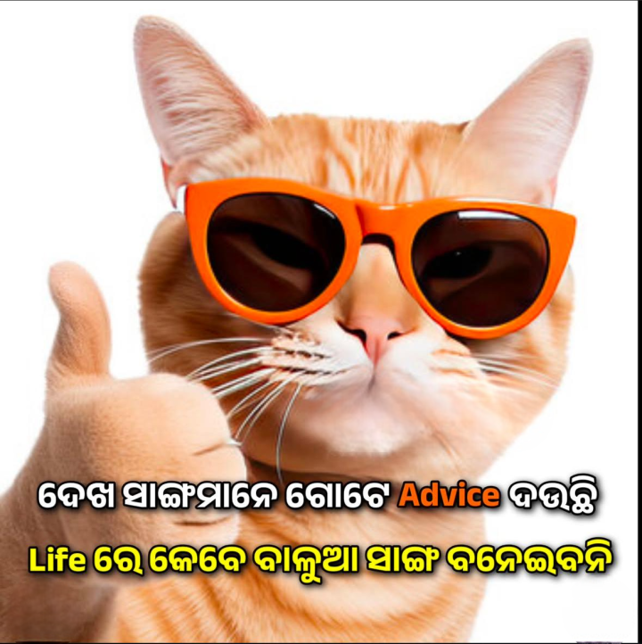 ଦେଖ ସାଙ୍ଗ ମାନେ