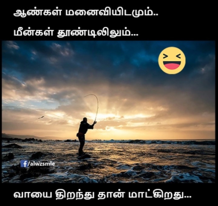 ஆமா சாமி ஆமா