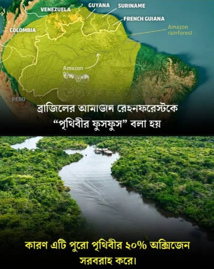 অ্যামাজনের কথা...