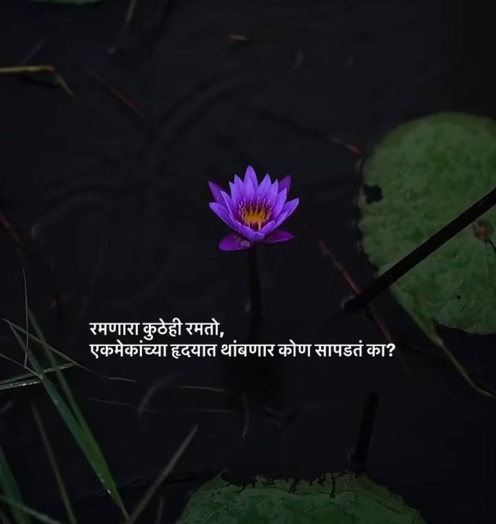 रमणारा कुठेही रमतो