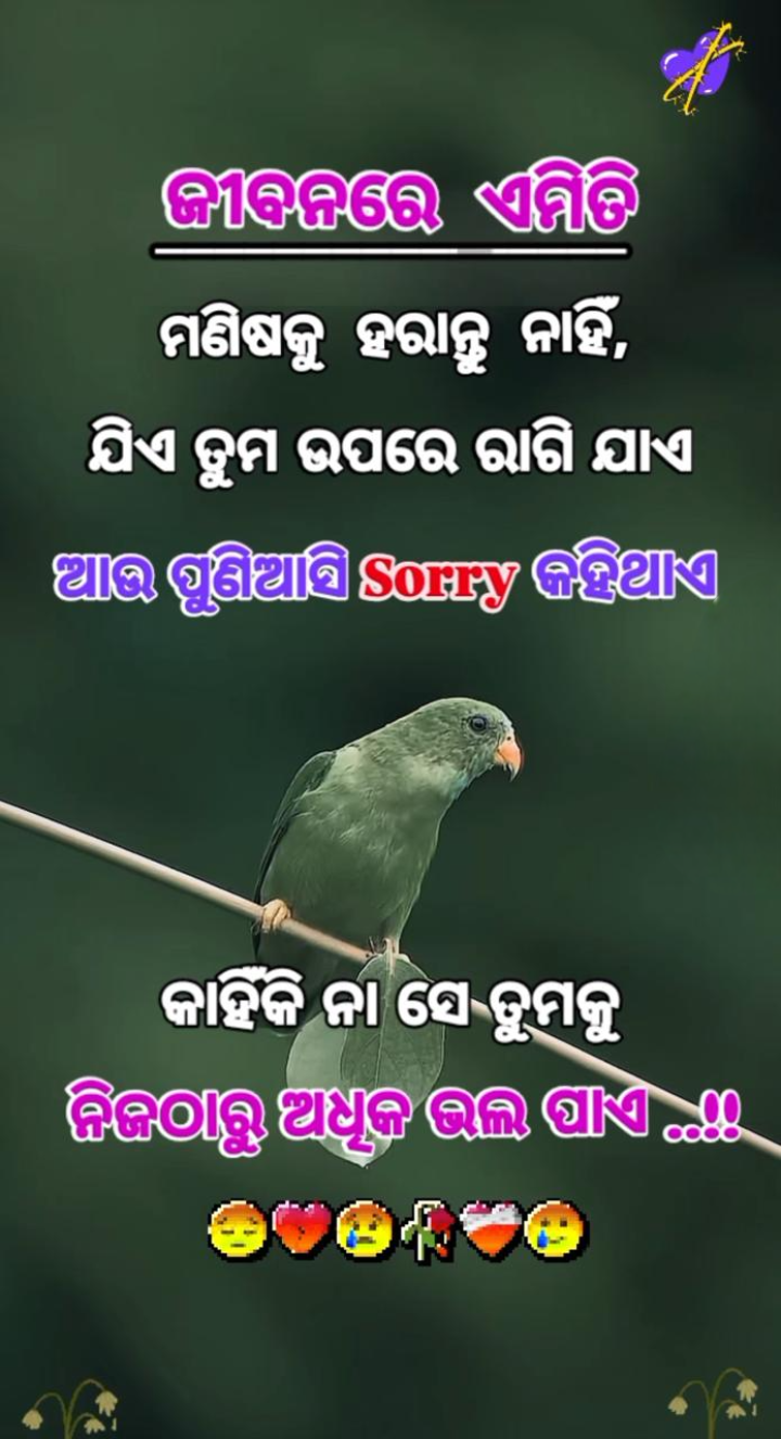 ଜୀବନରେ ଏମିତି ମଣିଷ କୁ ହରାନ୍ତୁ ନାହିଁ