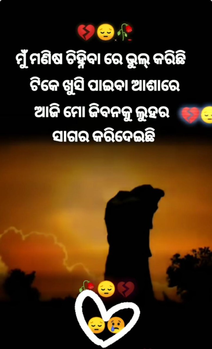 ମୁଁ ମଣିଷ ଚିହିଁବାରେ ଭୁଲ କରିଛି