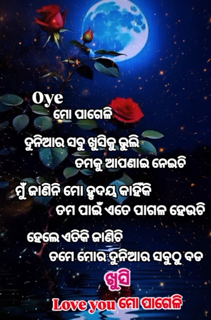 ତୁମେ ମୋ ଦୁନିଆ ର ସବୁଠୁ ବଡ଼ ଖୁସି