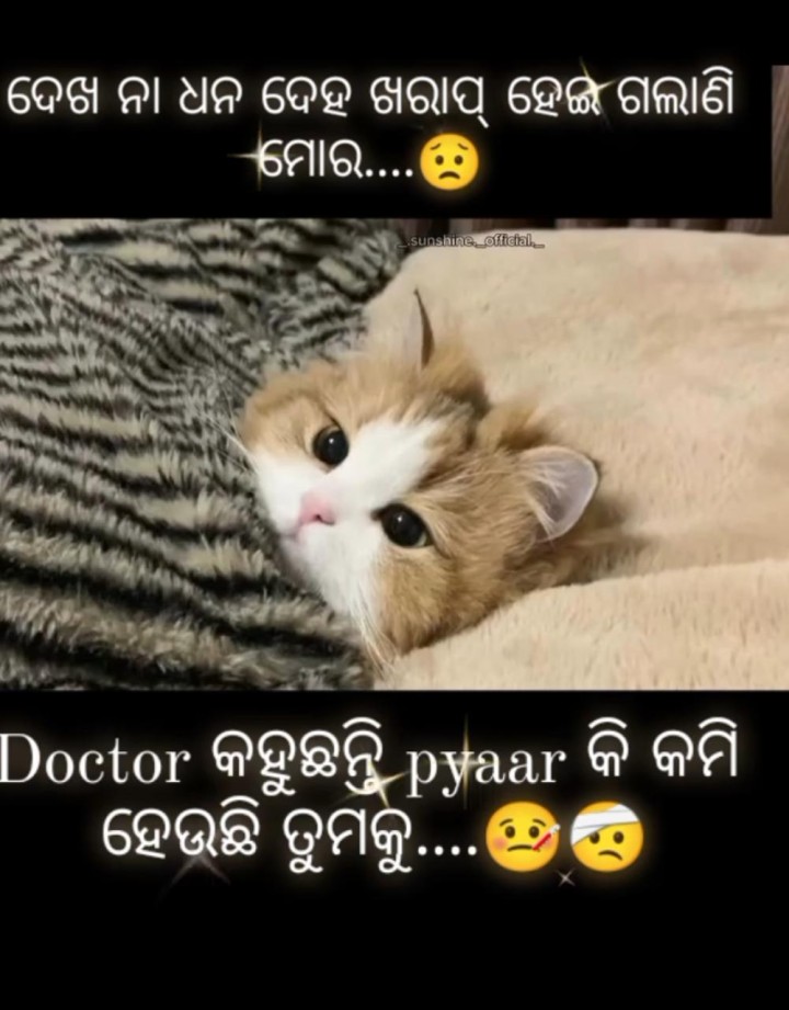 ଦେଖ ନା ଧନ