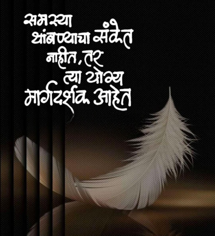 मार्गदर्शक