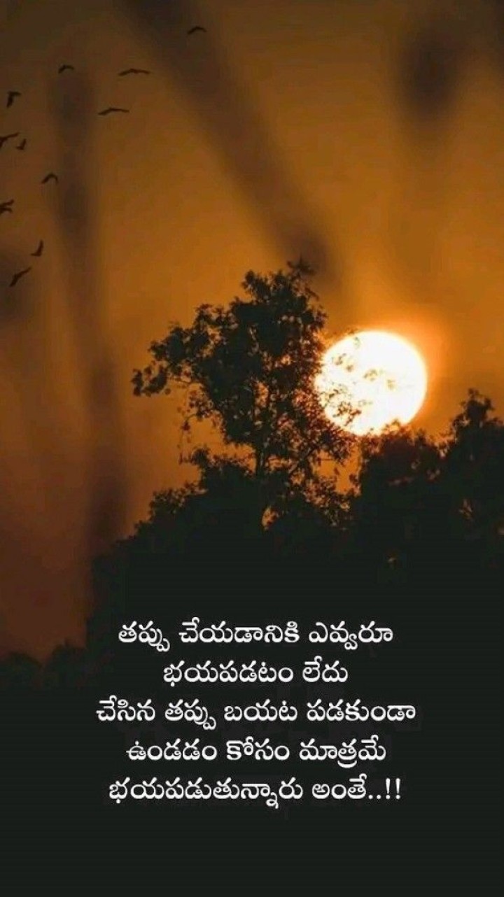 తప్పు చేయడానికి ఎవ్వరూ భయపడటం లేదు