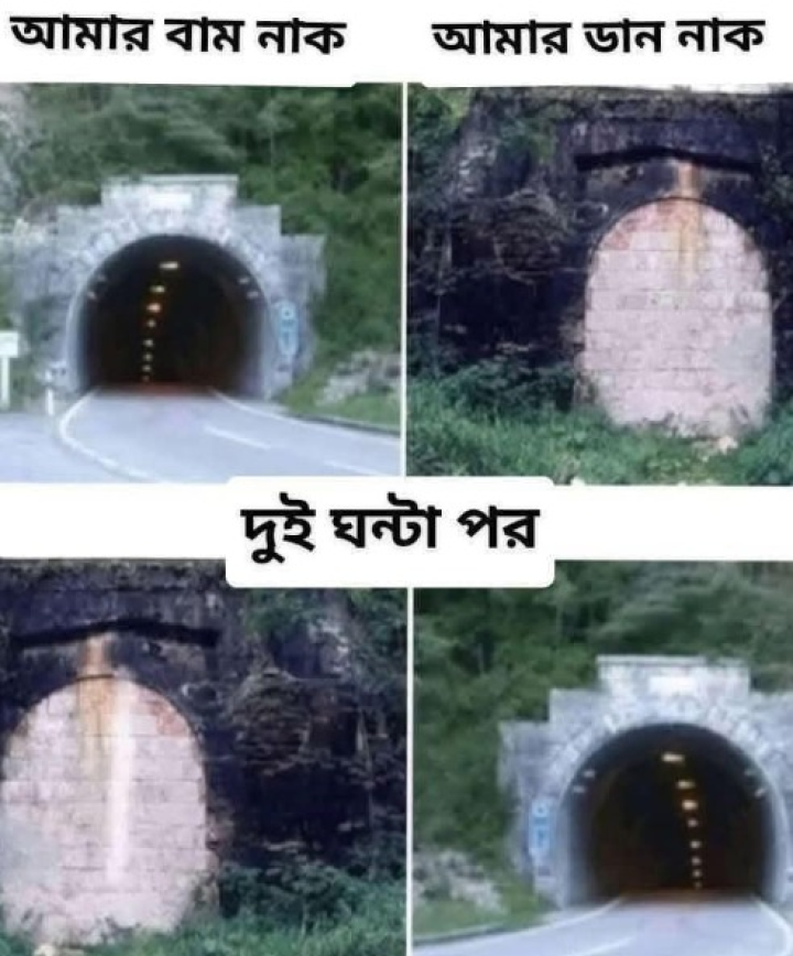 অথ নাক কাহিনী...