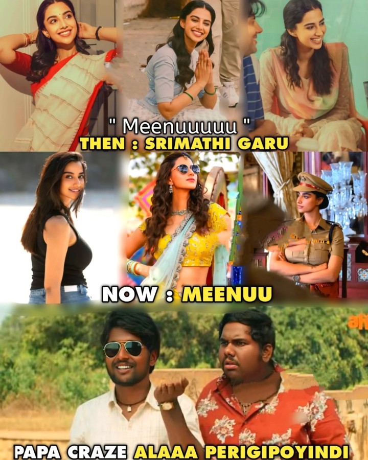 Meenu popularity perigipothundi