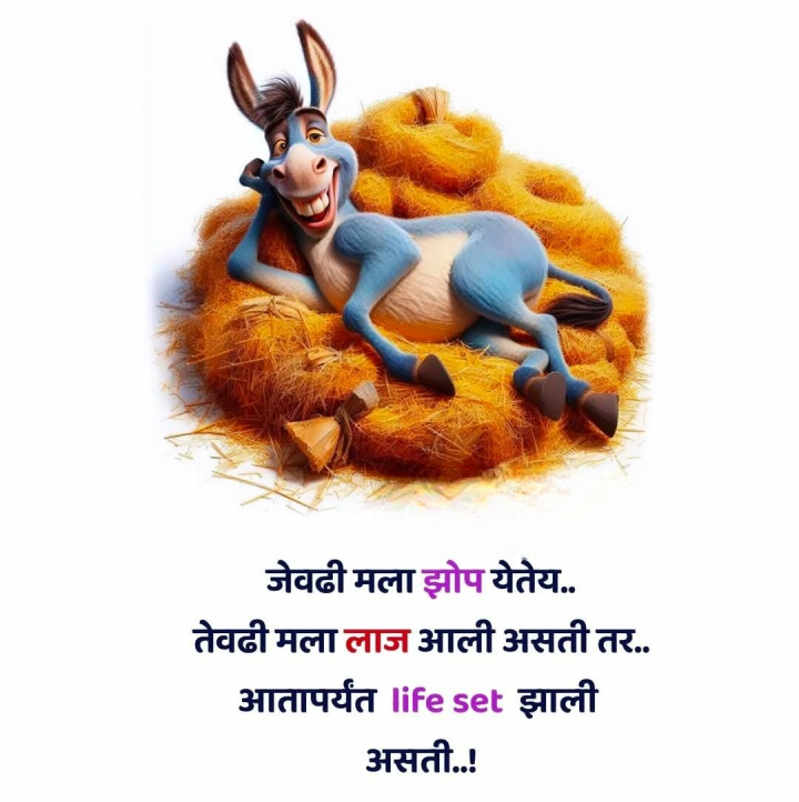 झोप एवढी आधी लाज यायला हवी