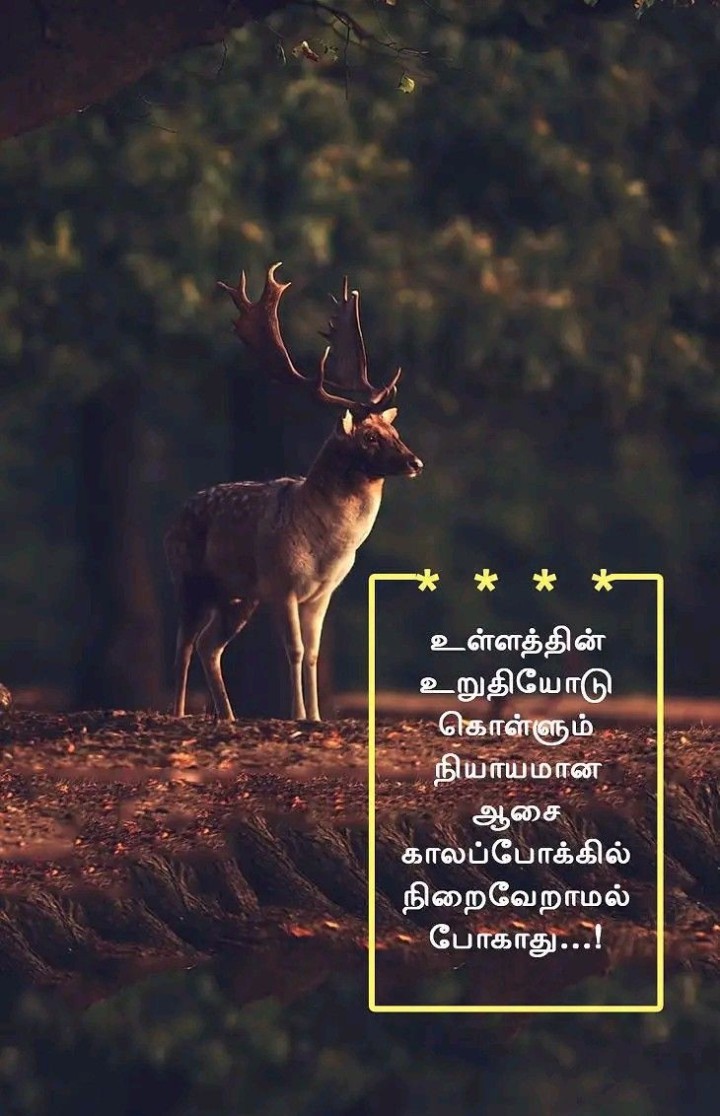 நியாயமான ஆசை