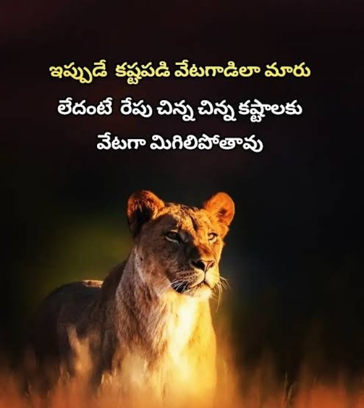 Munde katinamga marali