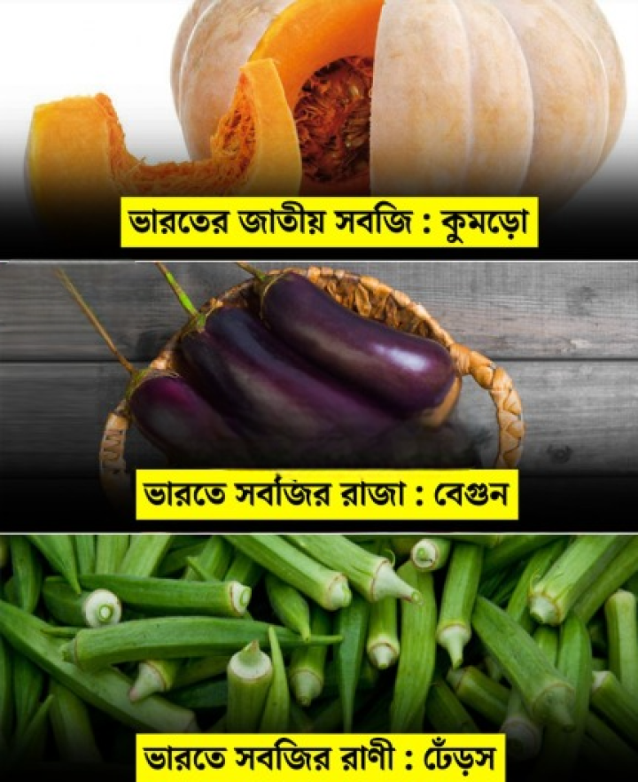 আজকের বিশেষ দিনে এই বিষয় গুলি অবশ্যই জেনে নিন।