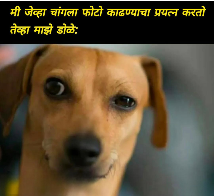 जेव्हा चांगला फोटो काढायचा असतो
