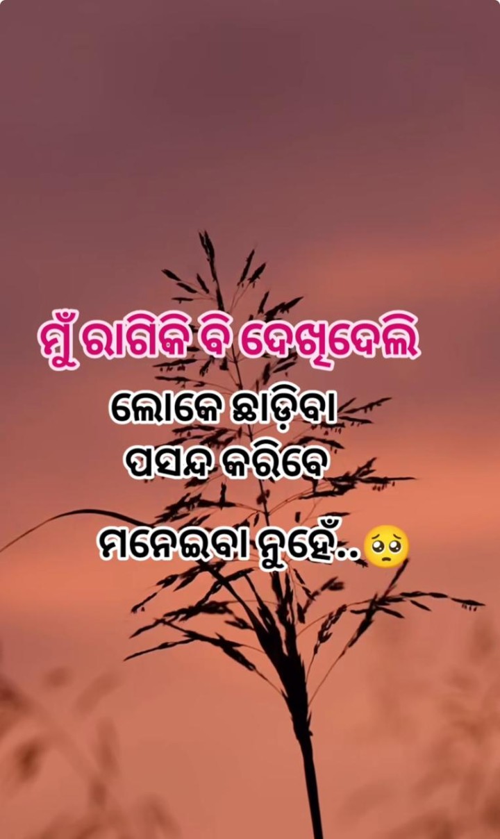 ମୁଁ ରାଗିକି କି ଦେଖିଲି
