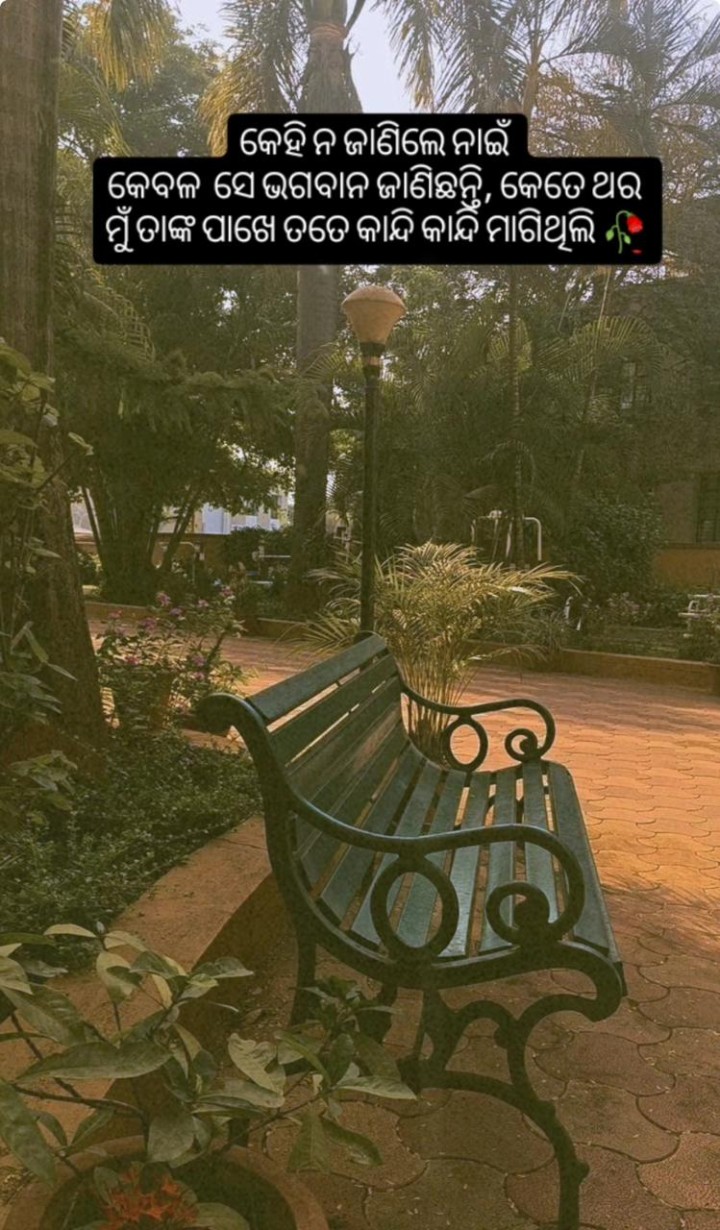 କେହି ନ ଜାଣିଲେ ନାହିଁ