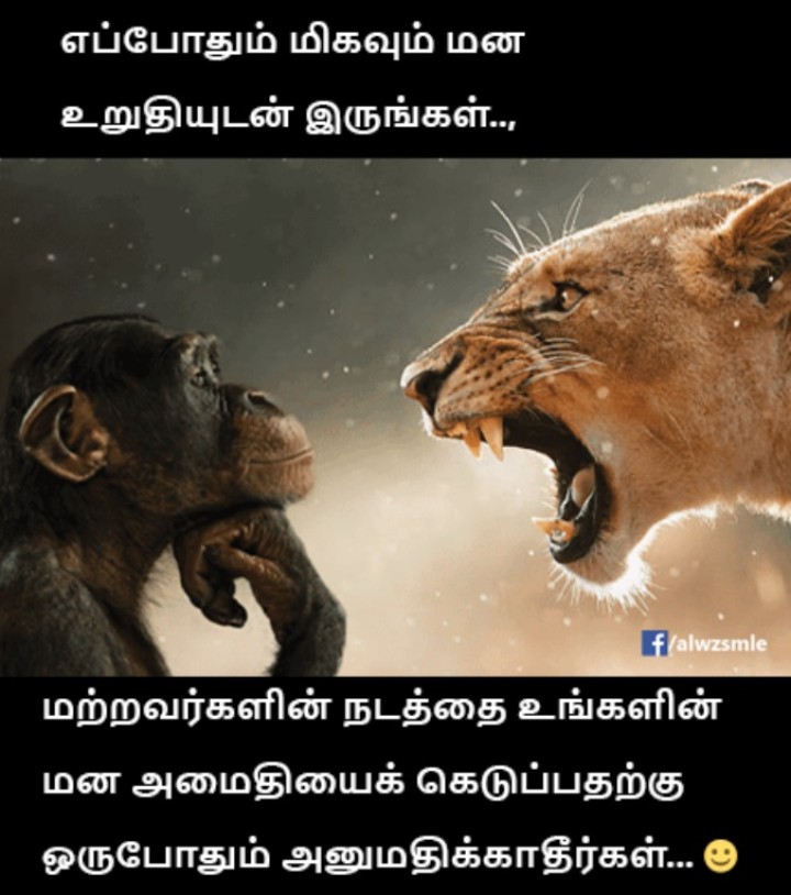 இந்த தப்ப தான் நான் ரொம்ப நாளாக பண்ணிட்டு இருந்தேன்