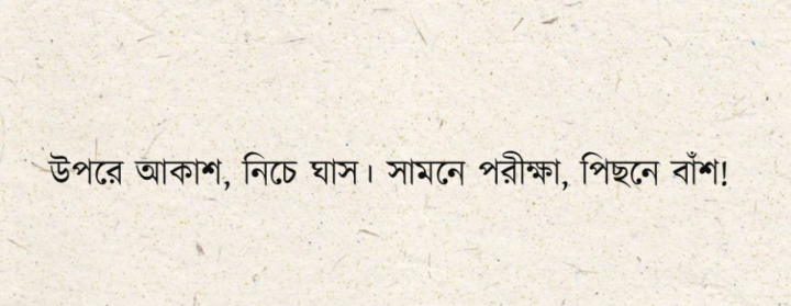বাঁশের কাহিনী...
